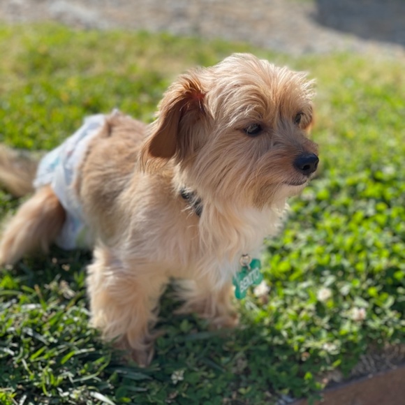 Meet your Posher, Jean - Picture 4 of 4